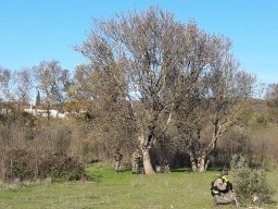 2017-12-17  Pai Natal SFAT